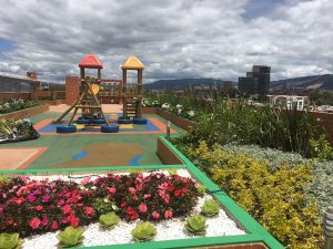 IMG_3506